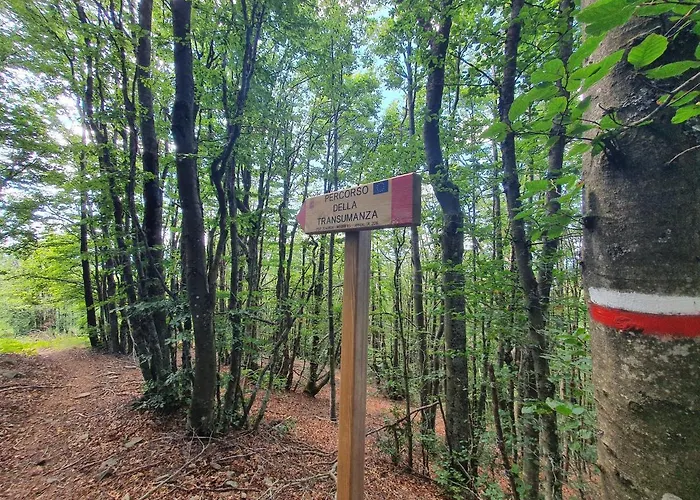 Ostello Orma Del Lupo 旅馆 *